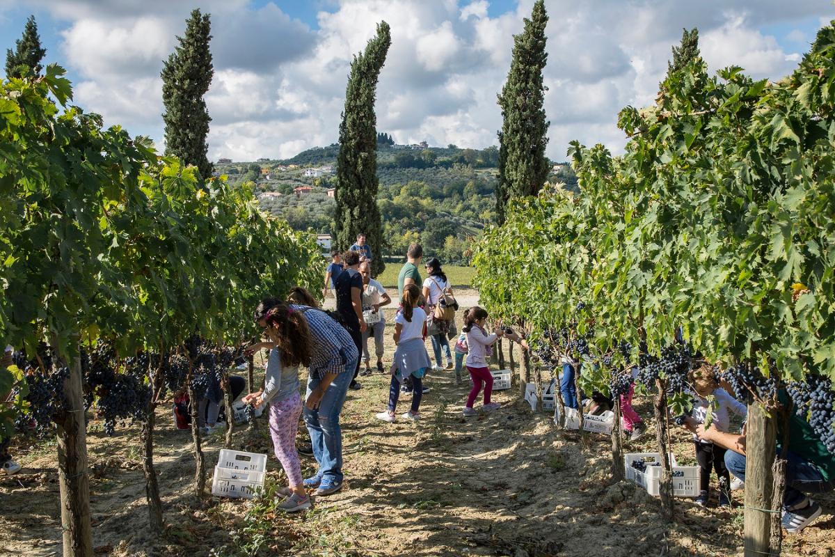 Cantine aperte